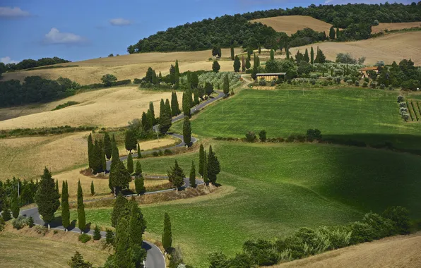 Road, field, the sky, grass, clouds, trees, hills, home