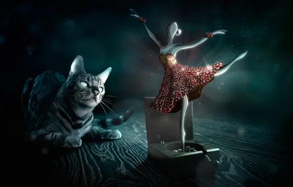 Cat, look, ballerina