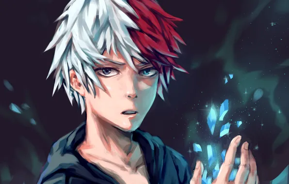 anime wallpaper todoroki｜TikTok Search