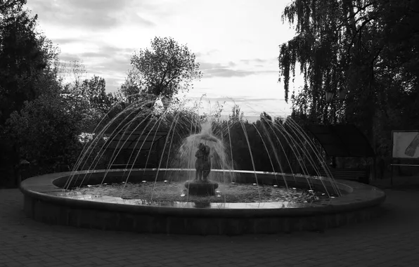 The sky, water, trees, the city, black and white, the evening, fountain, sculpture