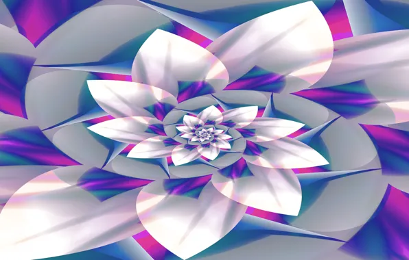 Flower, line, paint, spiral, petals, the volume