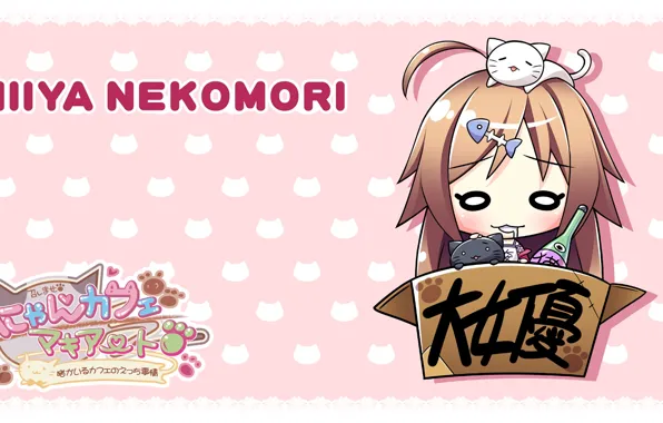 Box, girl, kittens, I love it, Nyan Cafe Macchiato