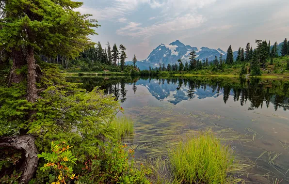 Forest, the sky, grass, mountains, lake, reflection, shore