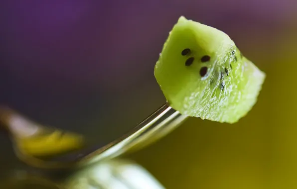 Kiwi, fruit, plug