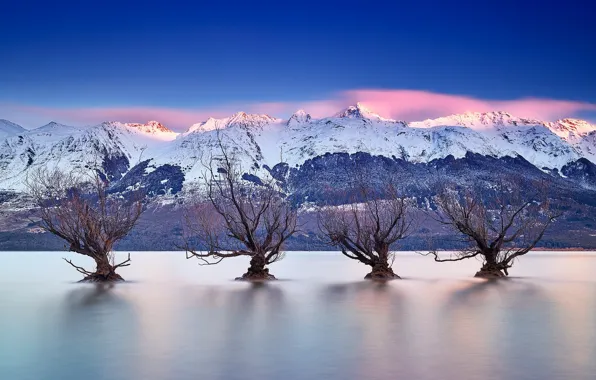 Picture trees, mountains, lake, New Zealand, New Zealand, Queenstown, Lake Wakatipu, Queenstown