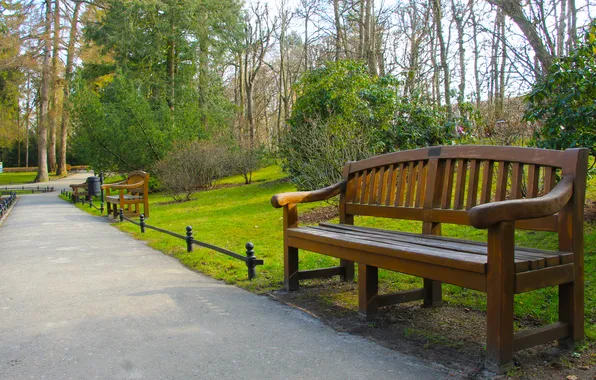 Park, bench, alley