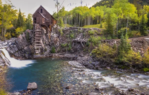 Picture forest, house, river