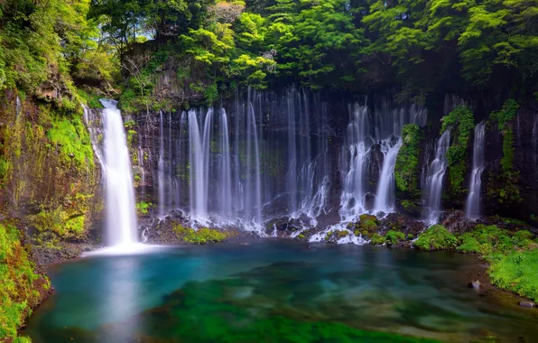 Nature, Waterfall, Japan, Forest, Japan, Nature, Waterfall, Forest