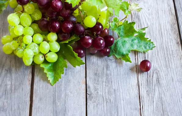 Picture leaves, red, green, grapes