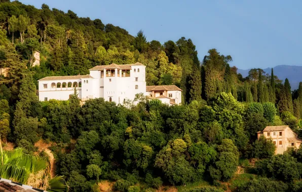 Picture trees, landscape, nature, the city, hill, Spain, Palace, Granada