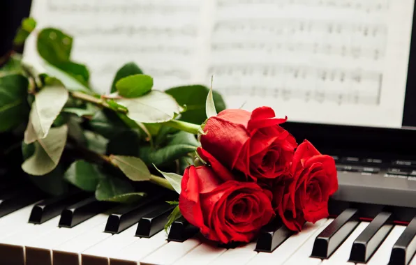 Notes, roses, keys, red, piano