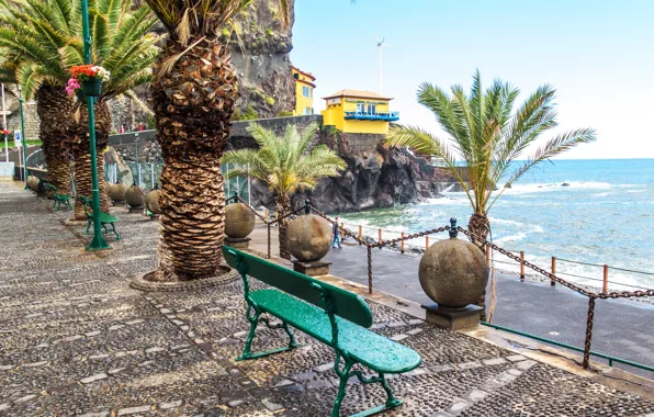 Picture sea, the sky, bench, stones, palm trees, rocks, coast, horizon
