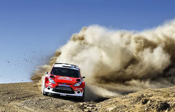 Ford, WRC, Rally, Evgeny Novikov