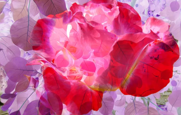 Picture leaves, line, flowers, rendering, paint, petals