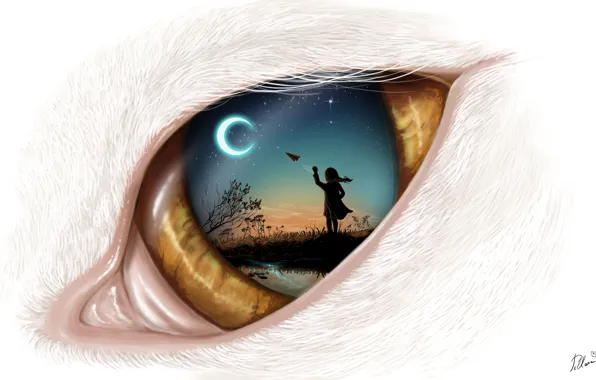 The sky, night, the moon, art, cat's eye, airplane