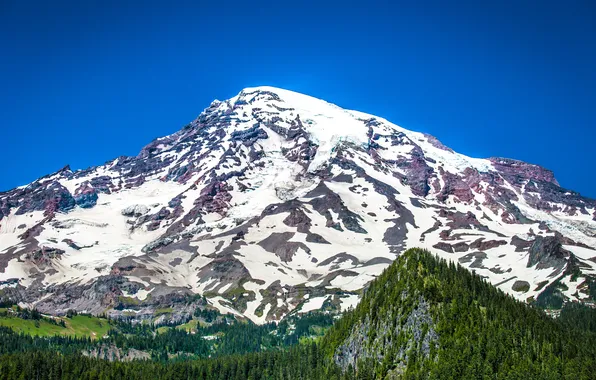 Forest, mountains, nature, USA, Mt. Rainier