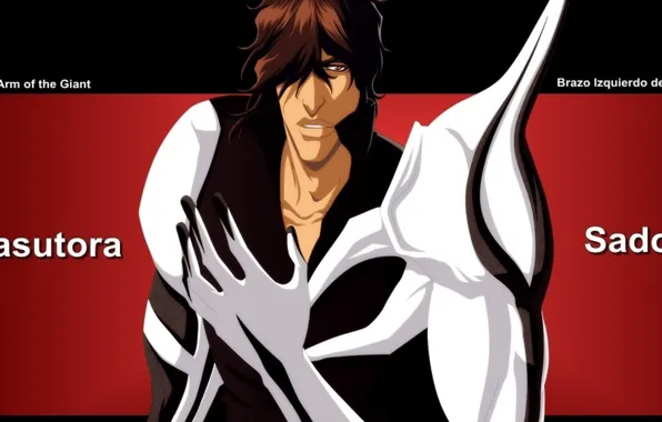 Game, Hero, Bleach, western, anime, man, asian, manga