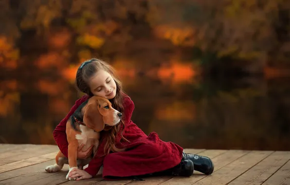 Dog, friendship, girl, friends, bokeh, hugs, Beagle, Ekaterina Borisova