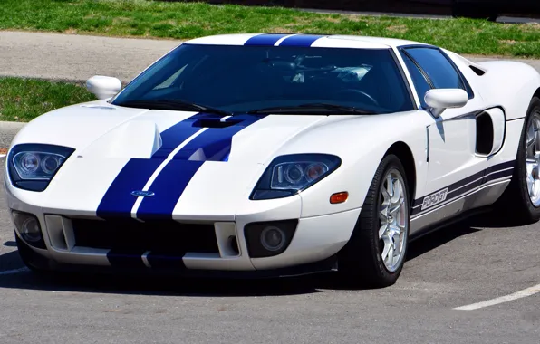 Ford, Blue, White, Stripes, gt