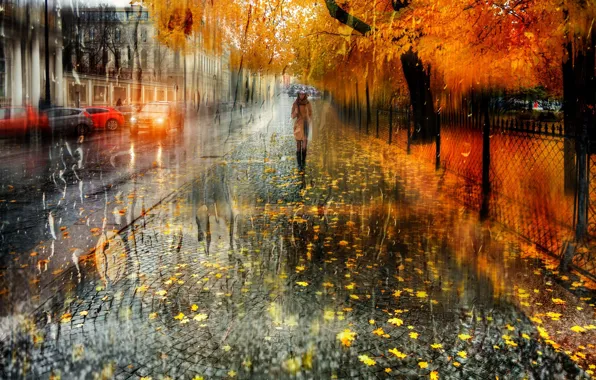 Picture wet, autumn, girl, drops, the city, street, foliage, umbrella
