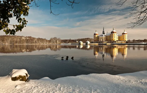 Picture winter, water, snow, lake, reflection, Germany, Germany, Moritzburg Castle