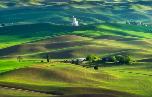 Hills, the slopes, field, green, relief