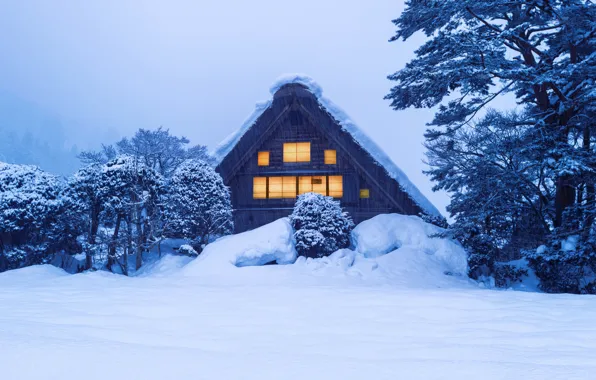 Winter, snow, trees, house, hut, trees, landscape, winter