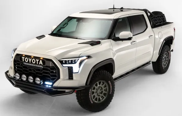 SUV, Toyota, light background, pickup, TRD, Tundra, 2021, Desert Chase Concept