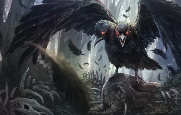 Fiction, wings, feathers, art, Raven, two heads