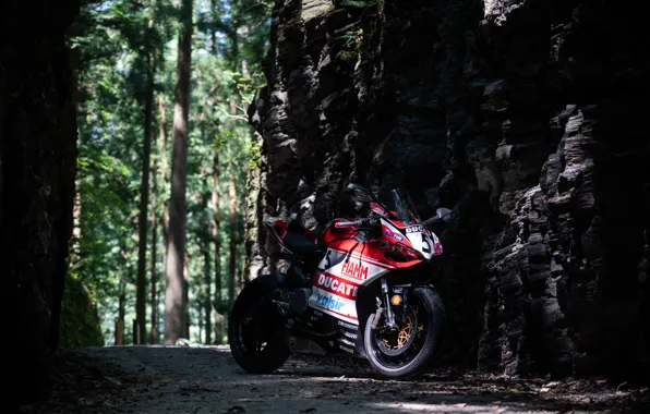 Picture forest, ducati, panigale 899