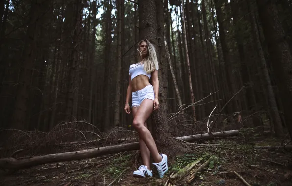 Picture forest, look, trees, sexy, pose, model, shorts, portrait