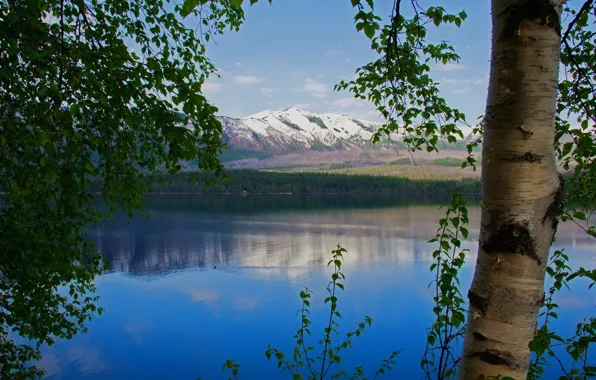 Picture the sky, snow, trees, mountains, lake