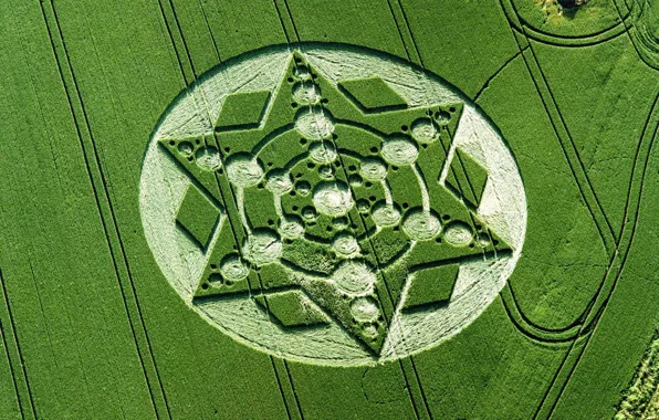Picture field, nature, UFO, crop circles