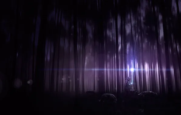 Forest, trees, night, people, thicket, art, hood, wolves
