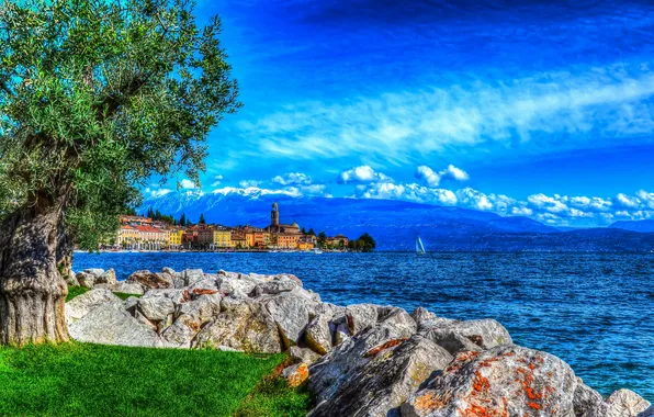 Picture sea, the sky, grass, clouds, mountains, stones, tree, coast