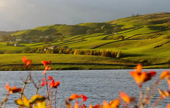 Picture the sky, grass, trees, flowers, river, hills