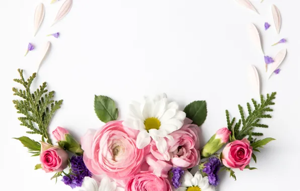 Picture flowers, roses, white background, buds, flowers, decor, Ranunculus