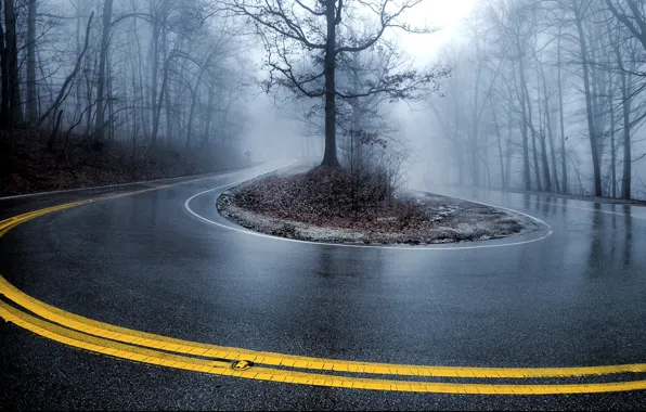 Road, fog, Trees, turn
