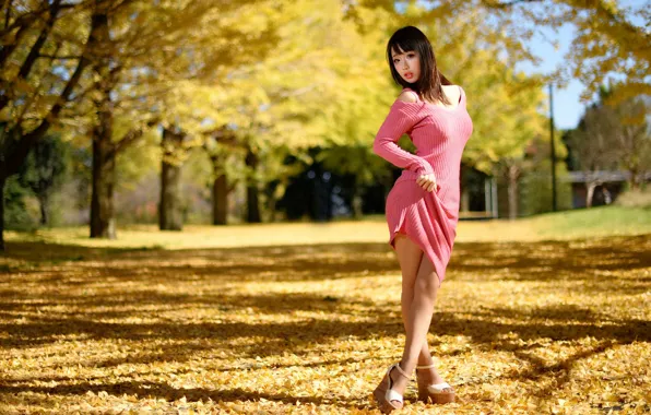 Picture girl, background, dress, legs