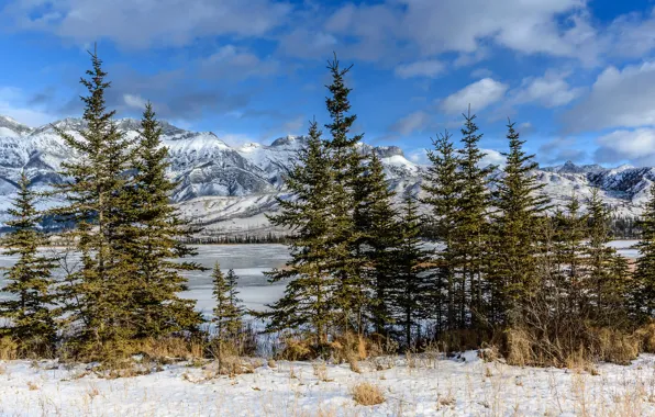 Snow, mountains, lake, ate, Canada, Albert, national Park, Jasper