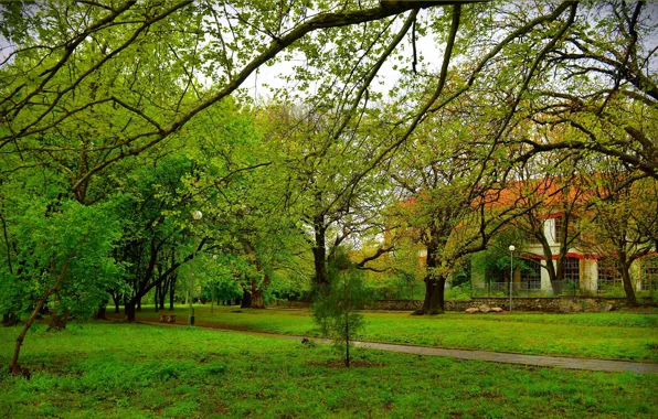 Picture Grass, Spring, House, Park, Nature, Grass, Park, Spring