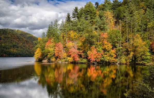 Wallpaper USA, forest, autumn, clouds, lake, Lake Logan, North Carolina, Haywood County