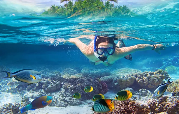 Water, girl, transparency, fish, the ocean, island, Laguna