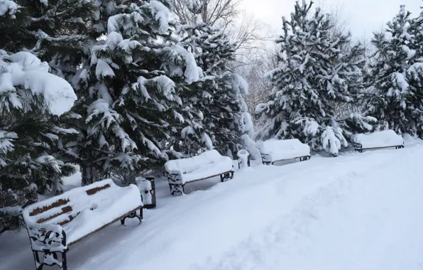 Winter, snow, trees, landscape, bench, Park, tree, trees