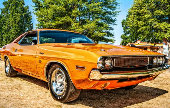 Picture orange, Dodge Challenger, classic, 1970 Dodge Challenger R/T 426 Hemi, cars wallpaper