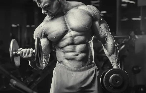 Muscle, muscle, man, press, pose, dumbbells, gym, bodybuilder