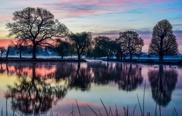 Picture sunset, fog, Park