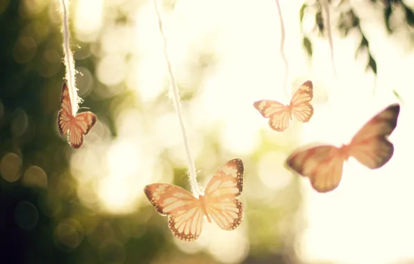 The sky, macro, light, trees, butterfly, glare, background, mood