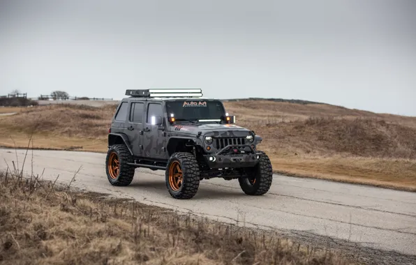 Wrangler, Jeep, Unlimited, 4-door, 2015, 3.6L