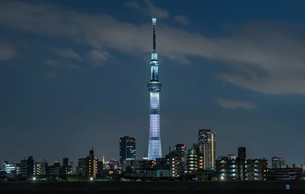 The sky, lights, tower, the evening
